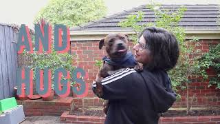 MOODY BEACHES – “Crowded World”