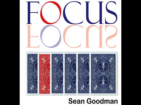 Voir la vidéo de Focus - Sean Goodman