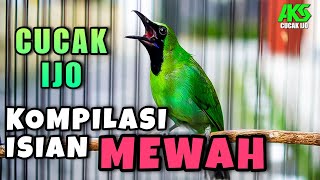 Download lagu PANCINGAN CUCAK IJO GACOR ISIAN KOMPILASI MEWAH COCOK BUAT TERAPI IJO LAIN AGAR CEPAT NEMBAK JAMTROK mp3