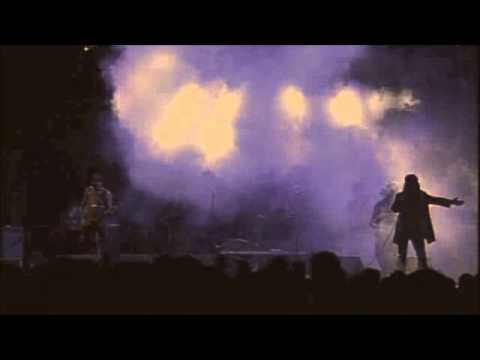 Sdroncocobus -  Vita da Star