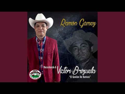 Cuando vuelvas a mi llano