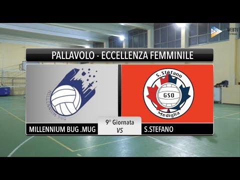 Sintesi Millennium Bug  .Mug - S. Stefano