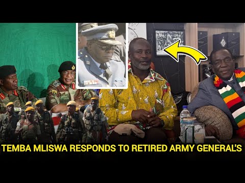 ZANU-PF Ally Temba Mliswa Defends Mnangagwa Government