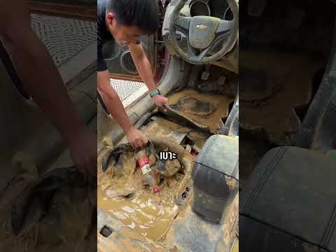 คนแถวบ้านหาว่าเขาเพี้ยน เมื่อเขาซื้อรถจมนํ้ามาฟื้นฟูใหม่! #shorts #viralvideos #interesting #ซ่อมรถ