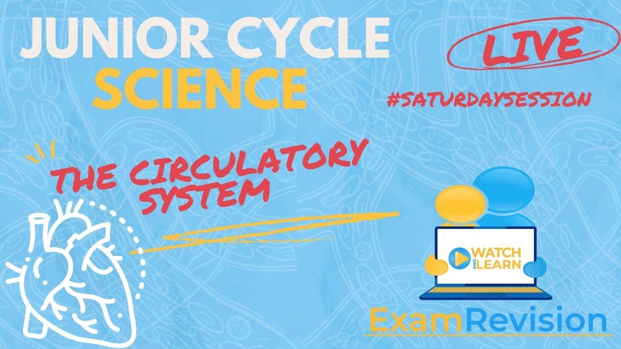 Junior Cycle Science - The Circulatory System
