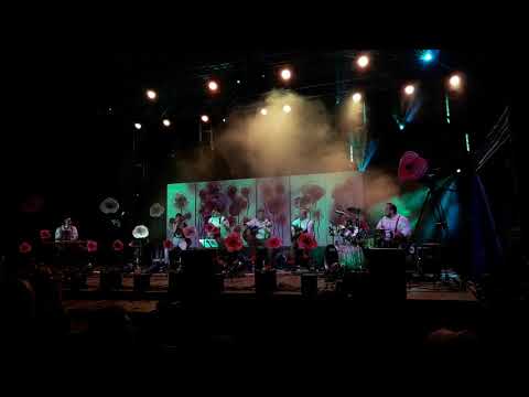 Road  ( akusztik )  -  Zsák a foltját