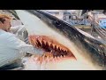 Deep Blue Sea 1999 Film Explained In Hindi Summarized हिन्दी