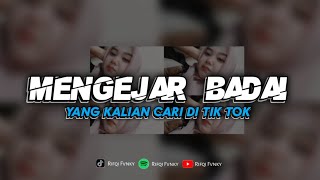 Download lagu DJ MENGEJAR BADAI - YANG KALIAN CARI || VIRAL TIK TOK mp3