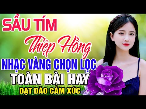 SẦU TÍM THIỆP HỒNG - Võ Hoàng Lâm & Kim Tuyền | LK Rumba Bolero Nhạc Vàng Xưa Chọn Lọc TOÀN BÀI HAY