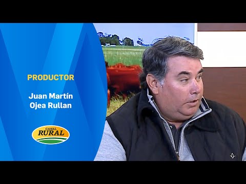 Juan Martín Ojea Rullan | Tomorrow, Angus bull day at La Angelita, Uribelarrea | 06/11/25 | MV