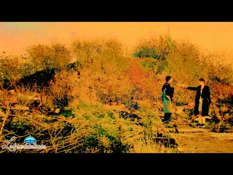 Franky Fitzgerald | Lonely soul ♀