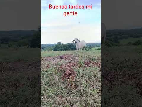 finca villa Fátima lorica córdoba #seguidores