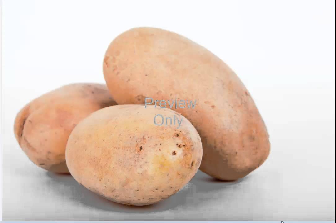 Royalty Free Stock Images HD Quality, 18 Vegetable Pictures(Commercial use)