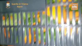 hashish-tra-le-arance-maxi-sequestro-in-tangenziale