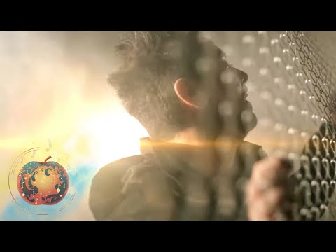 Fly Project - Musica