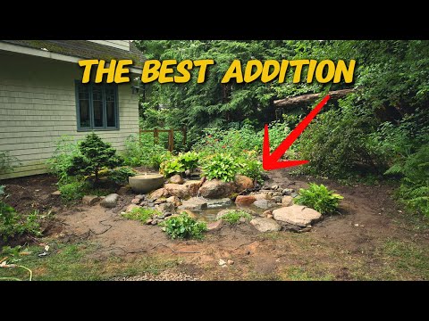 THE PERFECT SIZE POND FOR YOUR BACKYARD!