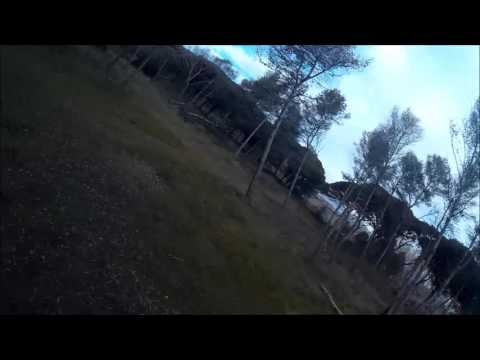 raw DDC drones de carrera littlebee 20A zmr250 sunnysky 2204 naze32 At9 Radiolink r9d prm_01