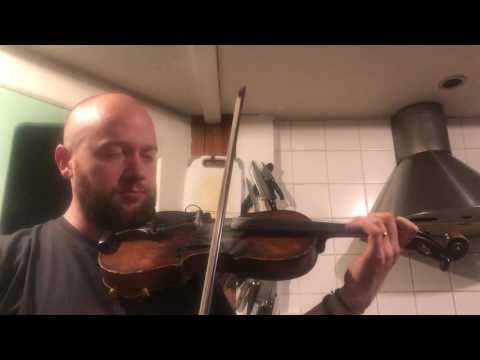 Fergal Scahill's fiddle tune a day 2017 - Day 201 - Eileen Curran's