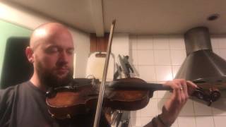 Fergal Scahill's fiddle tune a day 2017 - Day 201 - Eileen Curran's