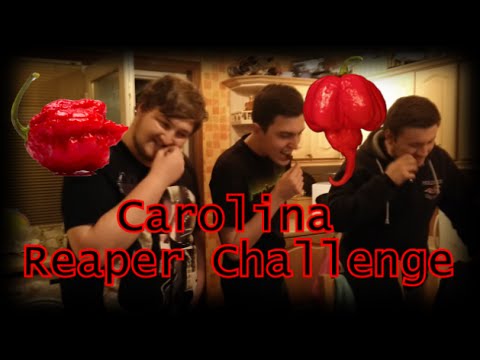 Carolina Reaper Challenge for 20k Subs! - Get to Noel! #10 Video