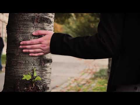 The Shapeshifters - Incredible (locking)