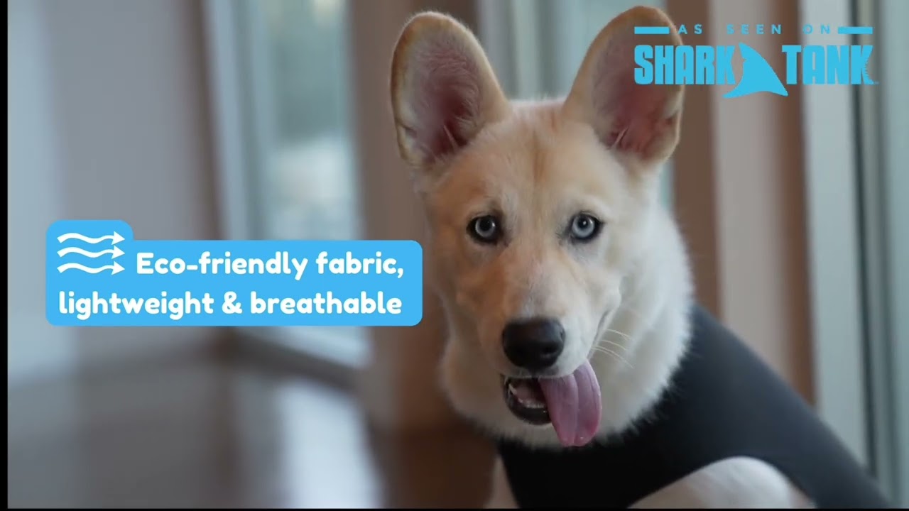 Shed Defender Recovery Onesie — cone alternative