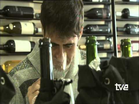 Cata de aceite - Oro Bailén Picual Dose 2,5 L