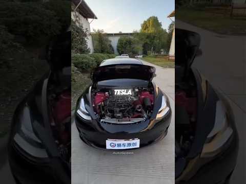 Essa cara expôs a tesla!!!