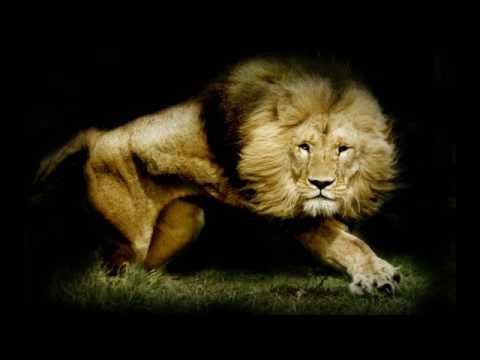 Himno: Hermoso Salvador