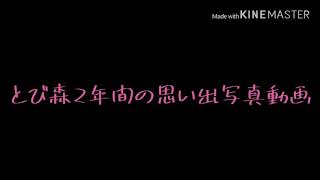 2年間のとび森の思い出動画！