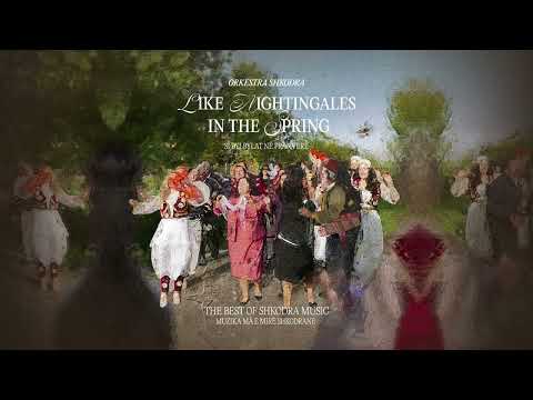 Sa Shyqyr keka I Tu - Orkestra Shkodra