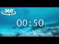 1 Min COUNTDOWN Timer V 591 360 Video 60 Sec With Sound Effects 4k