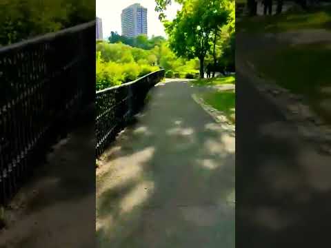 Hog's Back Falls #princeofwallsfalls #waterfall #hogsbackfalls #ottawa #canada