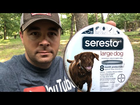 The Best Flea and Tick Control. Seresto Collars.