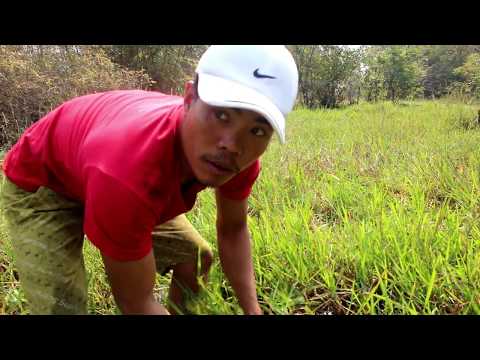 Everybody should watch this video, it's a lesson - New short films from arcanite