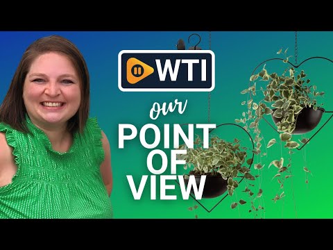 Hajia Heart Hanging Plant Holders - WTI product video review