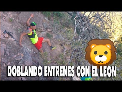 DOBLANDO ENTRENES CON EL LEON 😹.