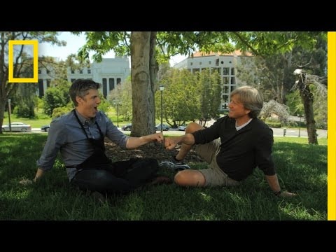 On the Topic of Fist Bumps | Going Deep With David Rees