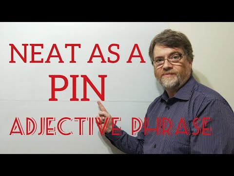 English Tutor Nick P Adjective Phrase (53) Neat as a (New) Pin