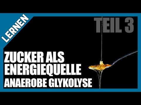 LERNEN #4 - Energie aus Zucker - Anaerobe Glykolyse und das böse Laktat