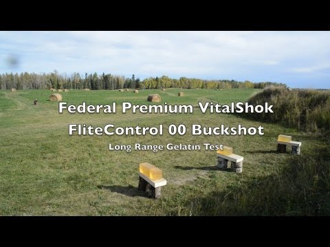 Federal Shorty Shotgun Shells