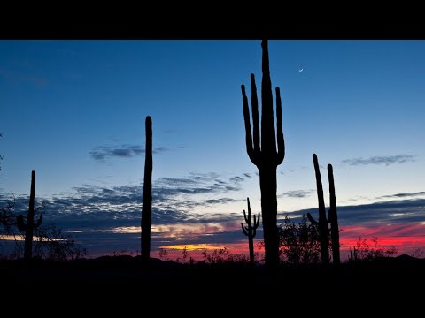 Dr Meaker x Yolanda - Wanna Feel Love (Brent Kilner Remix)