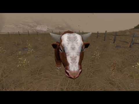 Weird collision things you can do in Pathologic Classic