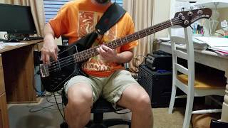 Descendents - Testosterone Bass Cover