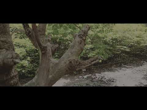 Nokia XR20 Cinema mode