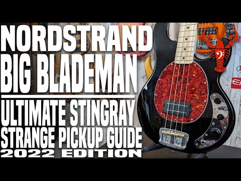 Nordstrand Big Blademan - Ultimate Stingray Strange Pickup Guide 2022 Edition - LowEndLobster Builds