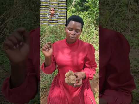 Nalongo Nakayima musawo wa kinaasi