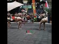 Isikuti Luhya Traditional Dance Song Shorts Short 1