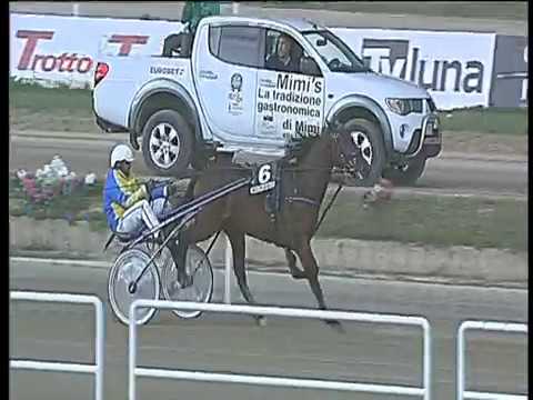 Trotto 29/10/2017 - 1ª corsa