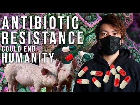 Antibiotic Resistance Crisis | How Factory Farms Create Antibiotic Resistant Superbugs